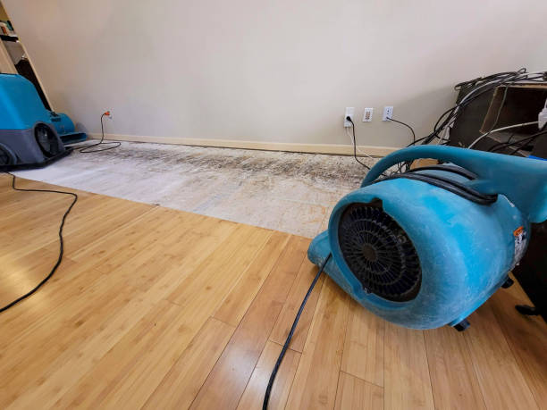 Professional Sewage Cleanup technician working in Olympic Valley, CA
